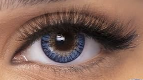 FRESHLOOK COLORBLENDS BLEU AZUR