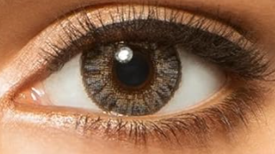 FRESHLOOK COLORBLENDS GRIS PERLE