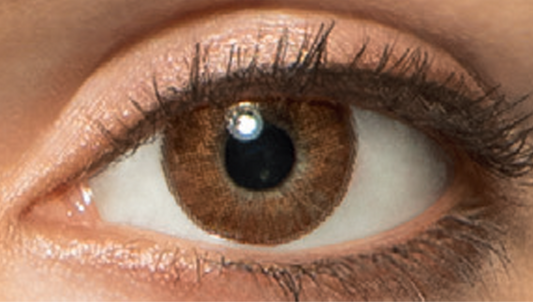 FRESHLOOK COLORBLENDS CANELLE