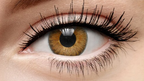 FRESHLOOK COLORBLENDS CARAMEL (PURE HAZEL)